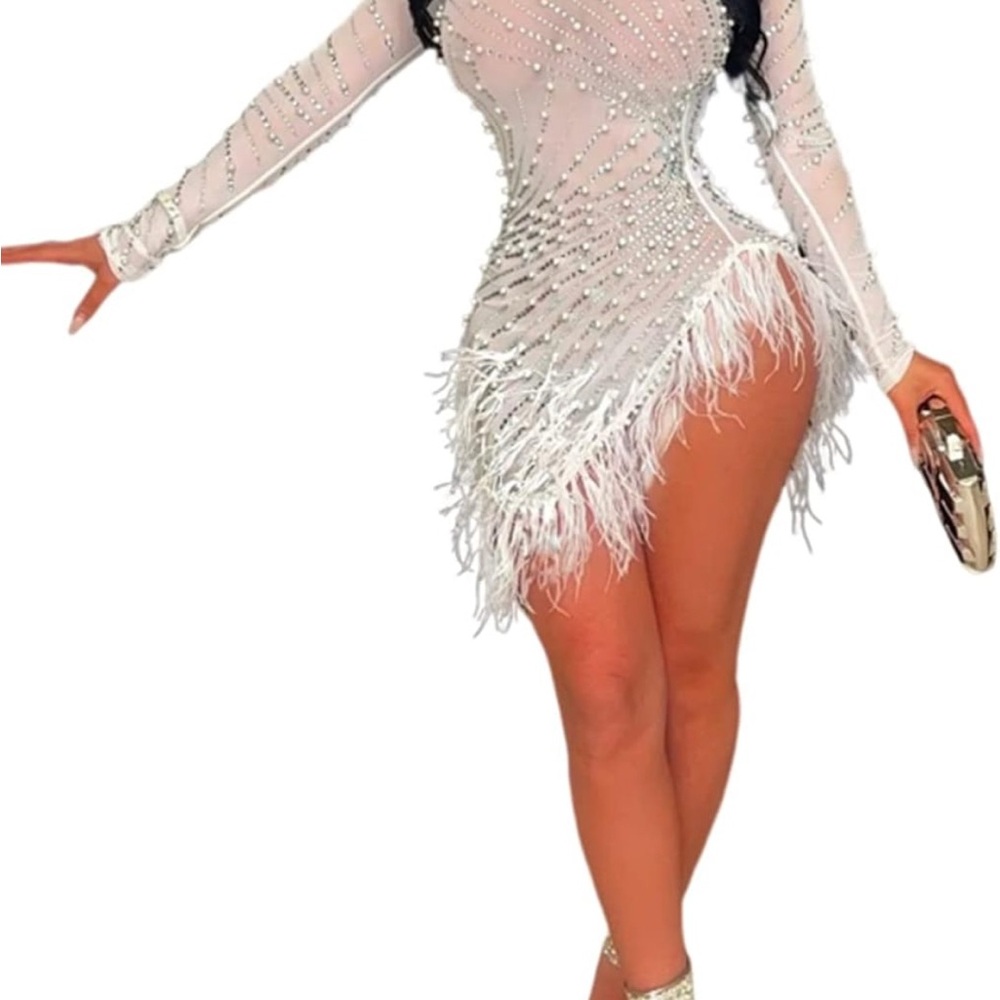 Elegant White and Silver Feathered Dress